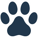 BestForPets  screen for extension Chrome web store in OffiDocs Chromium