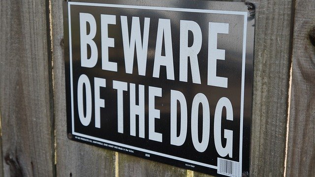 Descarga gratuita Beware Of Dog Sign: foto o imagen gratuita para editar con el editor de imágenes en línea GIMP
