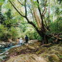 Bù Gia Mập National Park – A Pristine Haven of Biodiversity  screen for extension Chrome web store in OffiDocs Chromium