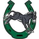 BHS KIOSK  screen for extension Chrome web store in OffiDocs Chromium