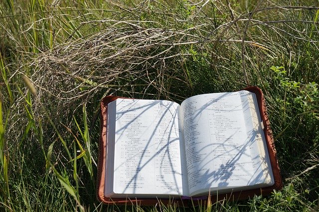 Muat turun percuma Bible Christian Religion - foto atau gambar percuma untuk diedit dengan editor imej dalam talian GIMP