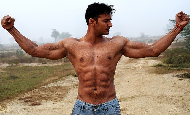 Free download biceps triceps fit fitness muscle free picture to be edited with GIMP free online image editor