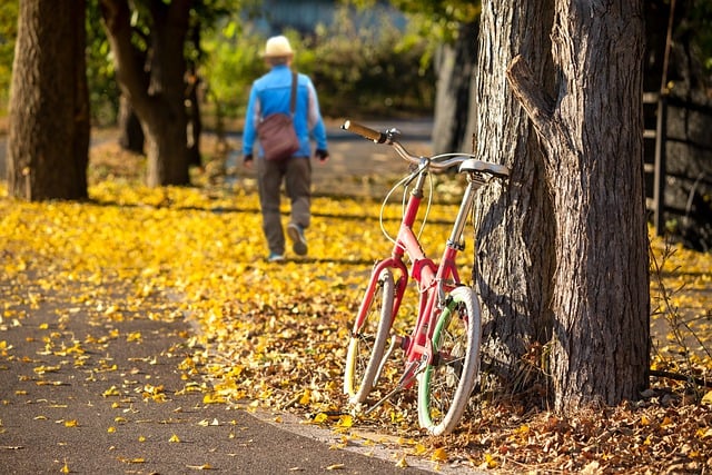 Free download bicycle autumn road leaves free picture to be edited with GIMP free online image editor