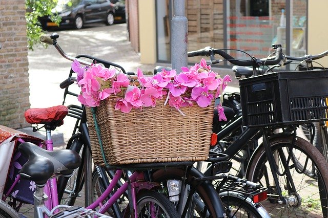 Kostenloser Download Fahrradkorb Blumen Pink - kostenloses Foto oder Bild zur Bearbeitung mit GIMP Online-Bildbearbeitung