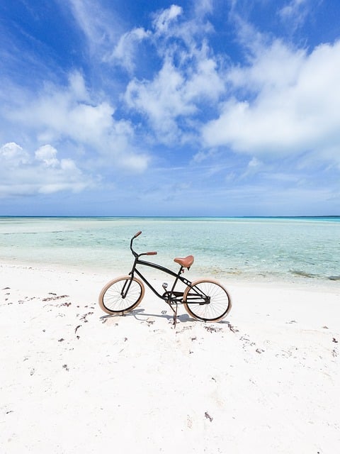 Free download bicycle beach coast shore trip free picture to be edited with GIMP free online image editor