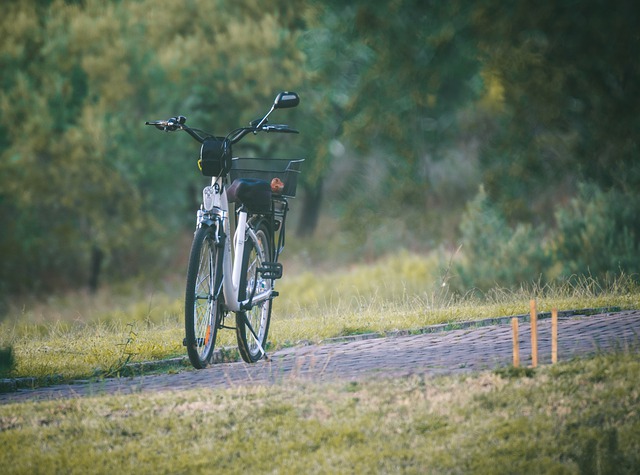 Free download bicycle bike sport cycling fitness free picture to be edited with GIMP free online image editor
