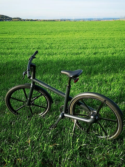 ດາວໂຫຼດຟຣີ ລົດຖີບ e bike meadow ສີຂຽວຟຣີ ຮູບພາບທີ່ຈະໄດ້ຮັບການແກ້ໄຂດ້ວຍ GIMP ບັນນາທິການຮູບພາບອອນໄລນ໌ຟຣີ