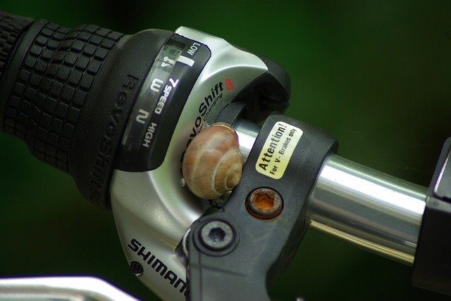 Muat turun percuma templat foto percuma Bicycle Handlebar Snail Wet untuk diedit dengan editor imej dalam talian GIMP