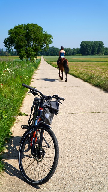 Free download bicycle horse landscape nature free picture to be edited with GIMP free online image editor