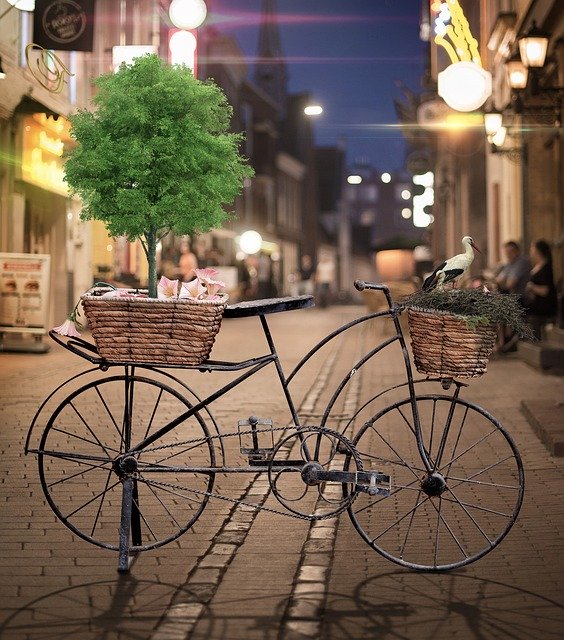 Libreng download Bicycle Street Tree - libreng larawan o larawan na ie-edit gamit ang GIMP online image editor