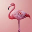 Big and beautiful pink crane  screen for extension Chrome web store in OffiDocs Chromium