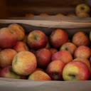 Big Apple Crate  screen for extension Chrome web store in OffiDocs Chromium