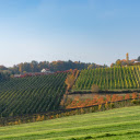 Big farm  screen for extension Chrome web store in OffiDocs Chromium