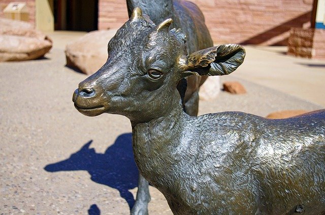 Kostenloser Download Bighorn Lamb In Bronze - kostenloses Foto oder Bild zur Bearbeitung mit GIMP Online-Bildbearbeitung