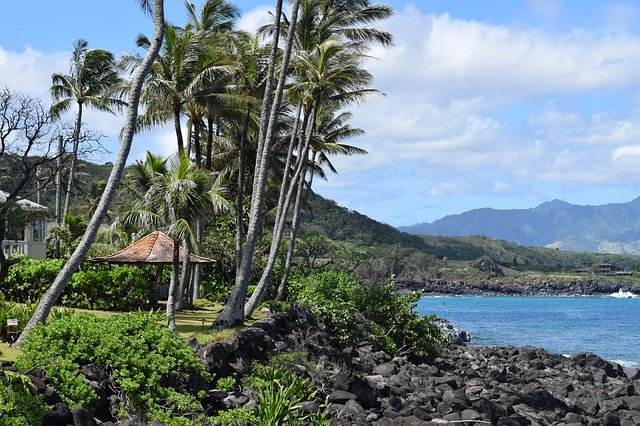 Téléchargement gratuit de Big Island Landscape Beach - photo ou image gratuite à éditer avec l'éditeur d'images en ligne GIMP