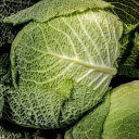 Big mustard plants  screen for extension Chrome web store in OffiDocs Chromium