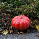 Big round pumpkin  screen for extension Chrome web store in OffiDocs Chromium