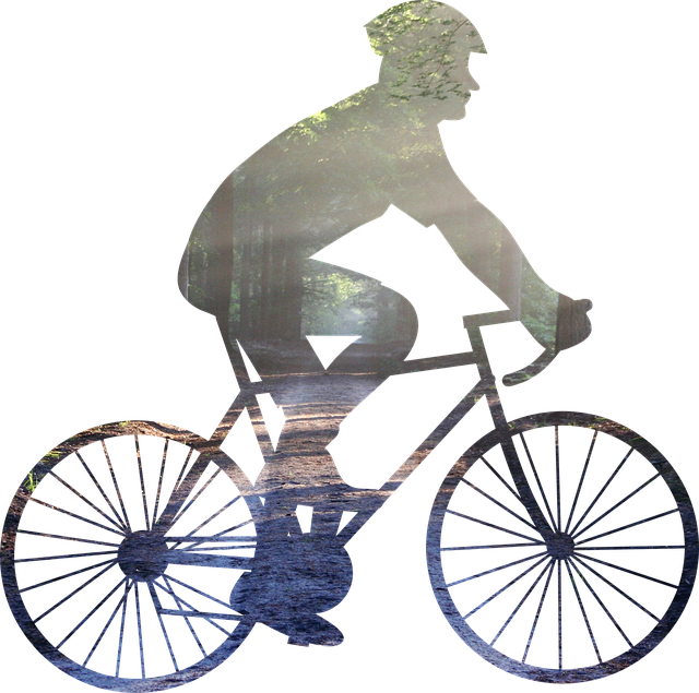Muat turun percuma Bike Bicycles Cyclist - ilustrasi percuma untuk diedit dengan editor imej dalam talian percuma GIMP