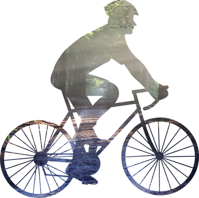 Free download Bike Bicycles Cyclist -  free illustration to be edited with GIMP free online image editor