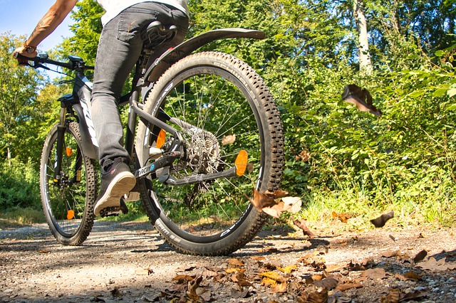 Free download bike e bike cycling forest leaves free picture to be edited with GIMP free online image editor