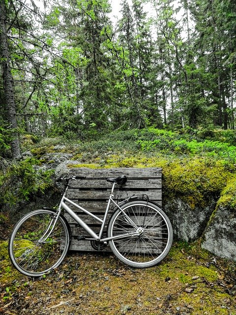 Free download Bike Forest Green -  free photo or picture to be edited with GIMP online image editor