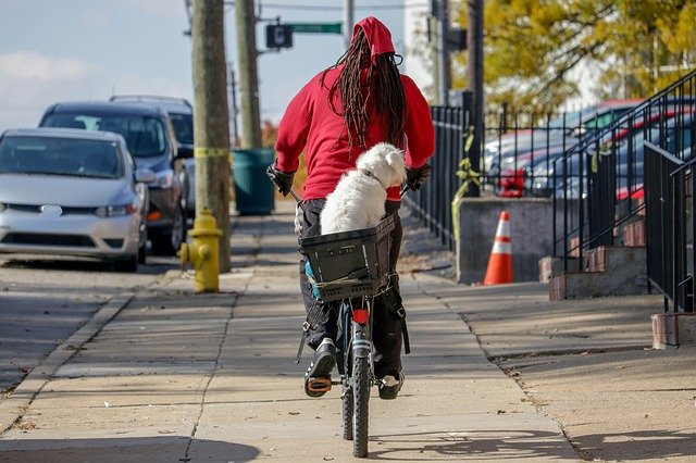 ดาวน์โหลดฟรี Bike Man Dog - รูปถ่ายหรือรูปภาพฟรีที่จะแก้ไขด้วยโปรแกรมแก้ไขรูปภาพออนไลน์ GIMP