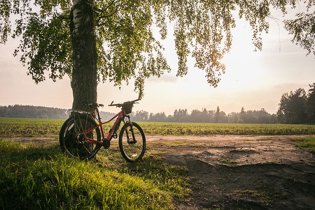 تنزيل مجاني Bike Summer Nature - صورة مجانية أو صورة لتحريرها باستخدام محرر الصور عبر الإنترنت GIMP