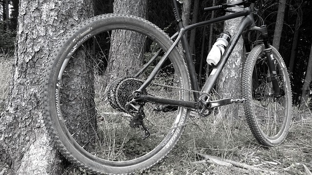 Free download bike trek mtb 29er bontrager 1x11 free picture to be edited with GIMP free online image editor