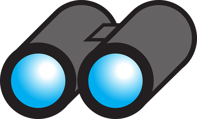Free download Binoculars Look Lenses - Free vector graphic on Pixabay free illustration to be edited with GIMP free online image editor