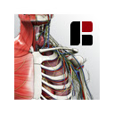 BIODIGITAL HUMAN  screen for extension Chrome web store in OffiDocs Chromium