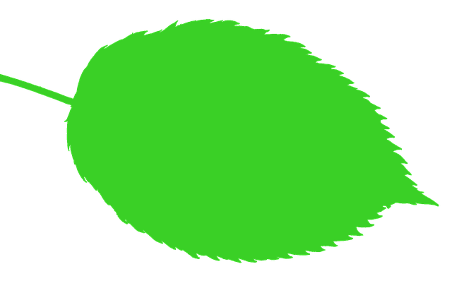 Free download Bio Nature Leaf -  free illustration to be edited with GIMP free online image editor
