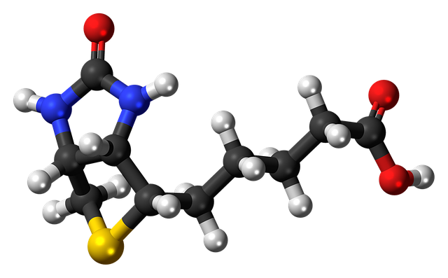 Free download Biotin Ball Stick -  free illustration to be edited with GIMP free online image editor