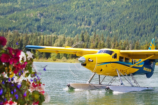 Free download bi plane bi plane small plane free picture to be edited with GIMP free online image editor