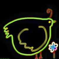 Free download Bird 24 free photo or picture to be edited with GIMP online image editor