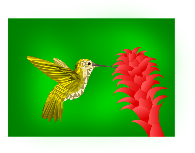 Free download Bird Amazonia Wet - Free vector graphic on Pixabay free illustration to be edited with GIMP free online image editor