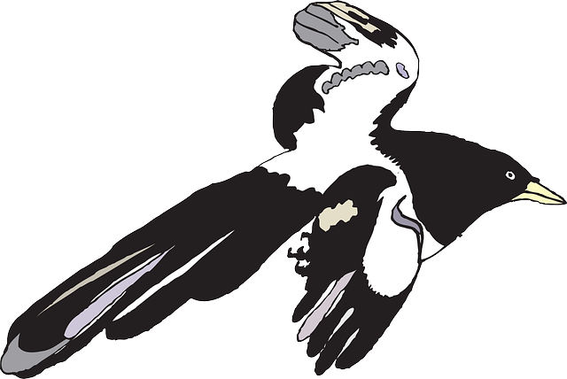 Free download Bird Black White - Free vector graphic on Pixabay free illustration to be edited with GIMP free online image editor