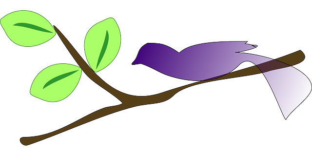 ດາວໂຫຼດຟຣີ Bird Branch Trees - ຮູບພາບ vector ຟຣີໃນ Pixabay ຮູບພາບທີ່ບໍ່ເສຍຄ່າເພື່ອແກ້ໄຂດ້ວຍ GIMP ບັນນາທິການຮູບພາບອອນໄລນ໌ຟຣີ