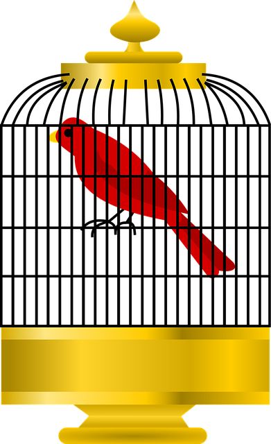 Free download Bird Cell Golden Cage - Free vector graphic on Pixabay free illustration to be edited with GIMP free online image editor