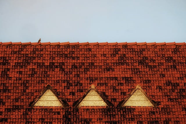 Free download bird dove roof triangle simplify free picture to be edited with GIMP free online image editor