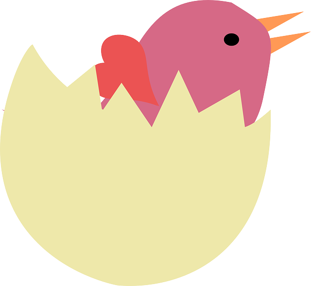 Free download Bird Egg Broken - Free vector graphic on Pixabay free illustration to be edited with GIMP free online image editor