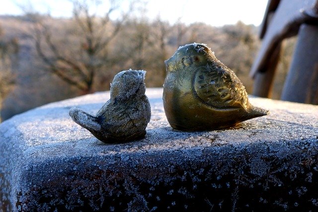 Bezpłatne pobieranie Bird Figures Ice Winter darmowy szablon zdjęć do edycji za pomocą internetowego edytora obrazów GIMP