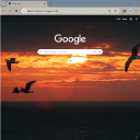 BirdFly Browser Theme  screen for extension Chrome web store in OffiDocs Chromium