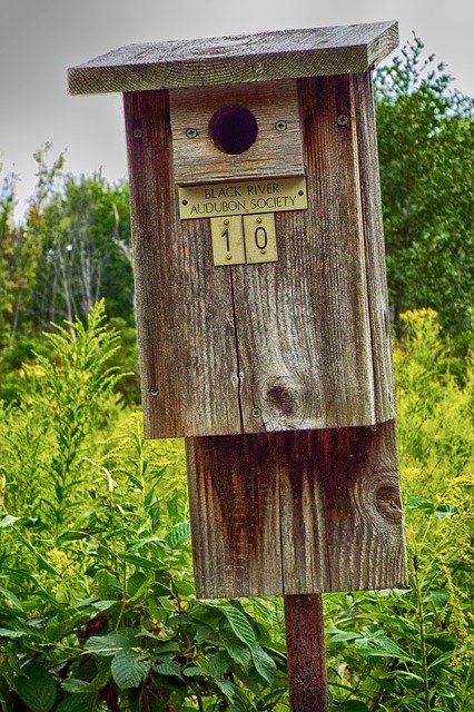 Free download Birdhouse Audubon Society Martin -  free photo or picture to be edited with GIMP online image editor