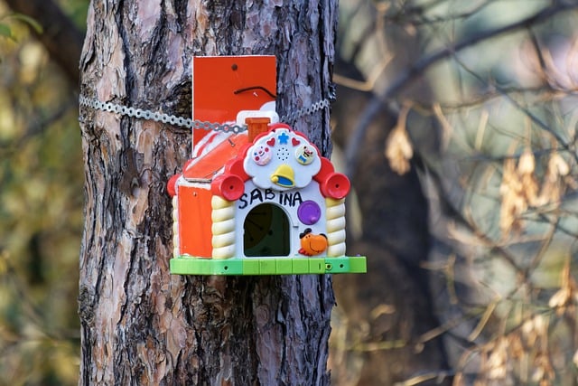 Free download birdhouse decorated birdhouse forest free picture to be edited with GIMP free online image editor