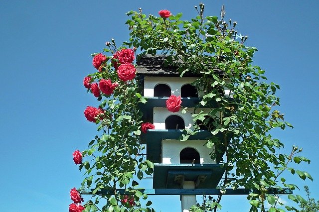 Free download Birdhouse Garden Decoration -  free photo or picture to be edited with GIMP online image editor