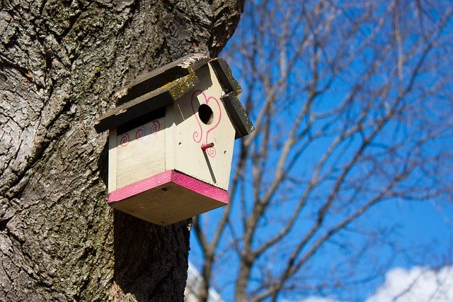 Free download Birdhouse House Tree -  free photo or picture to be edited with GIMP online image editor