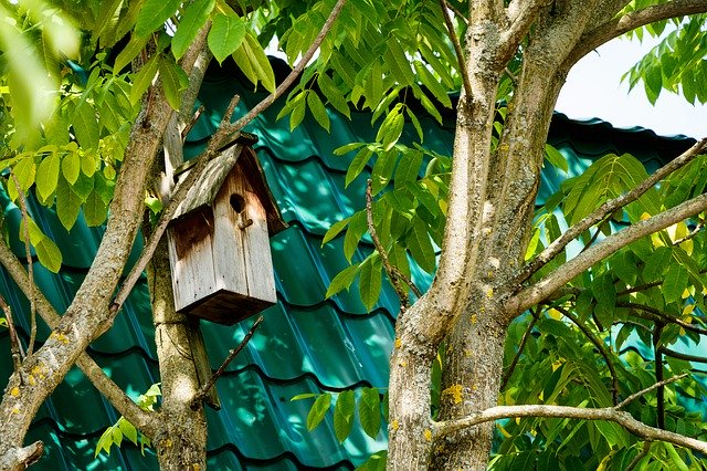 ดาวน์โหลดฟรี Birdhouse Tree Foliage - ภาพถ่ายหรือรูปภาพฟรีที่จะแก้ไขด้วยโปรแกรมแก้ไขรูปภาพออนไลน์ GIMP