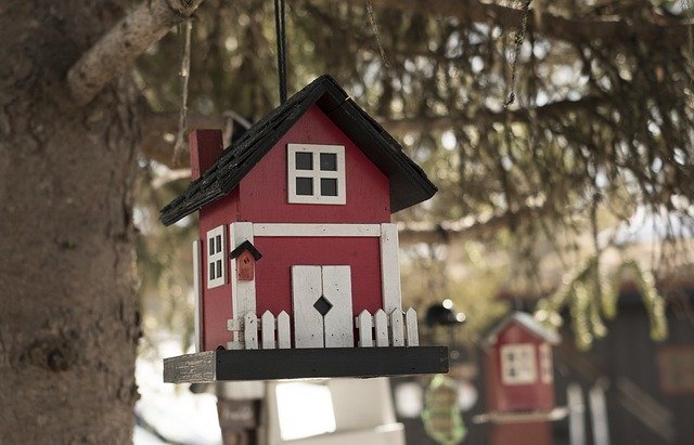 Free download Bird House Tree Nature -  free photo or picture to be edited with GIMP online image editor