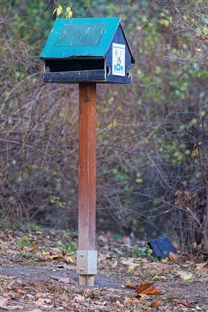 Free download bird house wooden pillar ground free picture to be edited with GIMP free online image editor