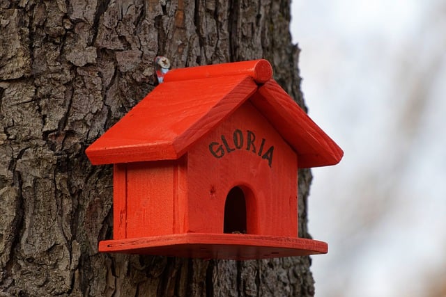 Free download birdhouse wooden tree trunk bark free picture to be edited with GIMP free online image editor